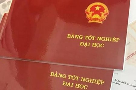 Những ngành nghề cần nhiều nhân lực đại học nhất
